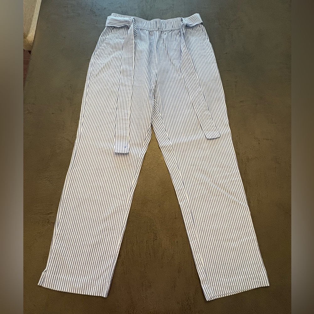 ZARA Blue Striped Pants